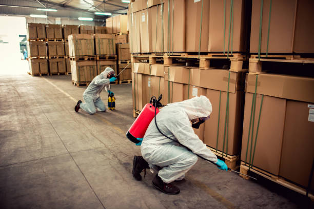 Best Residential Pest Control  in Lla Lla, WA