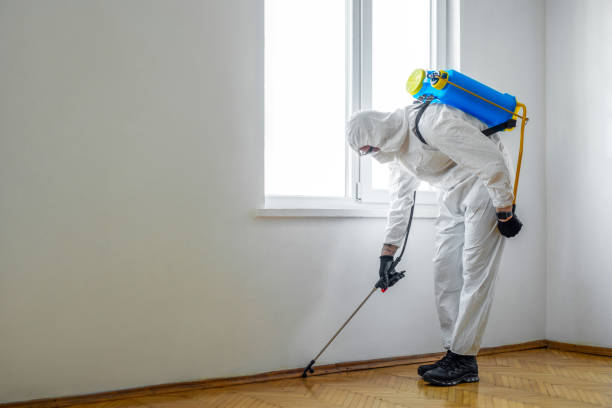 Pest Control Cost in Walla Walla, WA