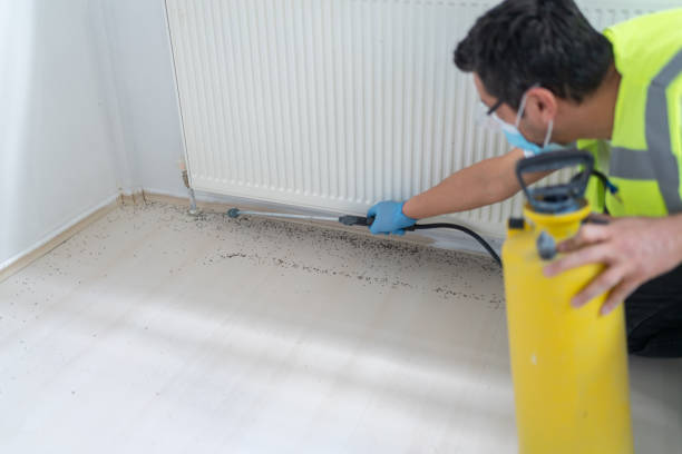 Best Best Pest Control Companies  in Lla Lla, WA